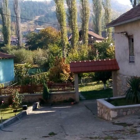 Guest House Green View Pirot Kültér fotó