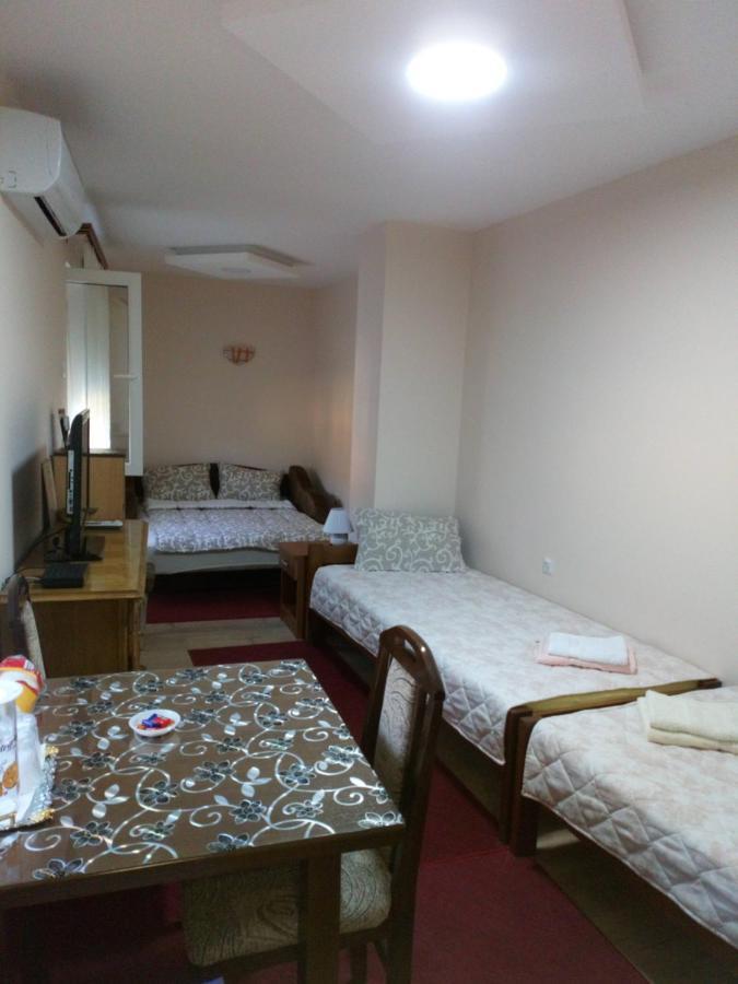 Guest House Green View Pirot Kültér fotó
