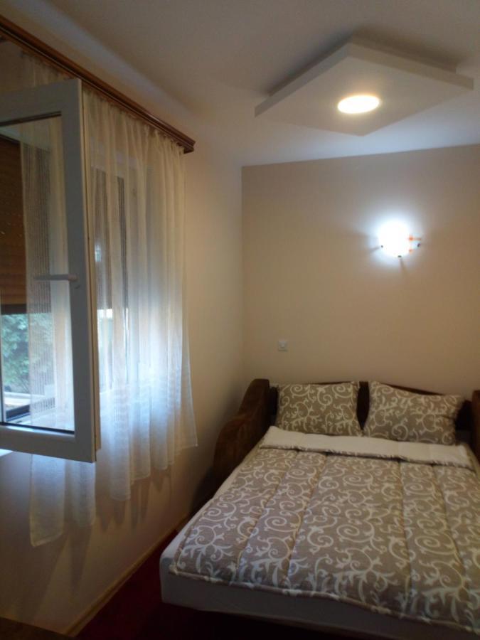 Guest House Green View Pirot Kültér fotó