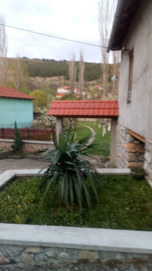 Guest House Green View Pirot Kültér fotó